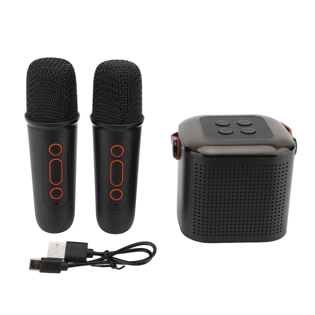 Wireless Karaoke Machine with 2 Microphones Portable BT Karaoke Speaker for Home and Outdoor Party