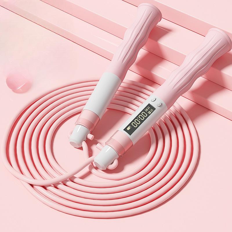 Elektronisches Zählen von Fehlstunden, Schwänzen von Prüfungszeiten durch erwachsene Grund- und Sekundarschüler, Aufladen von Fehlstunden.