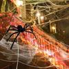 Dekoracje Halloween Pajęczyny Ze Sztucznymi, Super Rozciągliwe Pajęczyny na Halloweenowe Zaopatrzenie na Imprezę Wewnętrzną i Zewnętrzną Dekoracje na Bramę Garażową