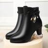 2024 New Women's Boots Autumn and Winter Warm Plush Ankle Boots Women's Round Toe Thin Heel Zipper Casual Women's Shoes
