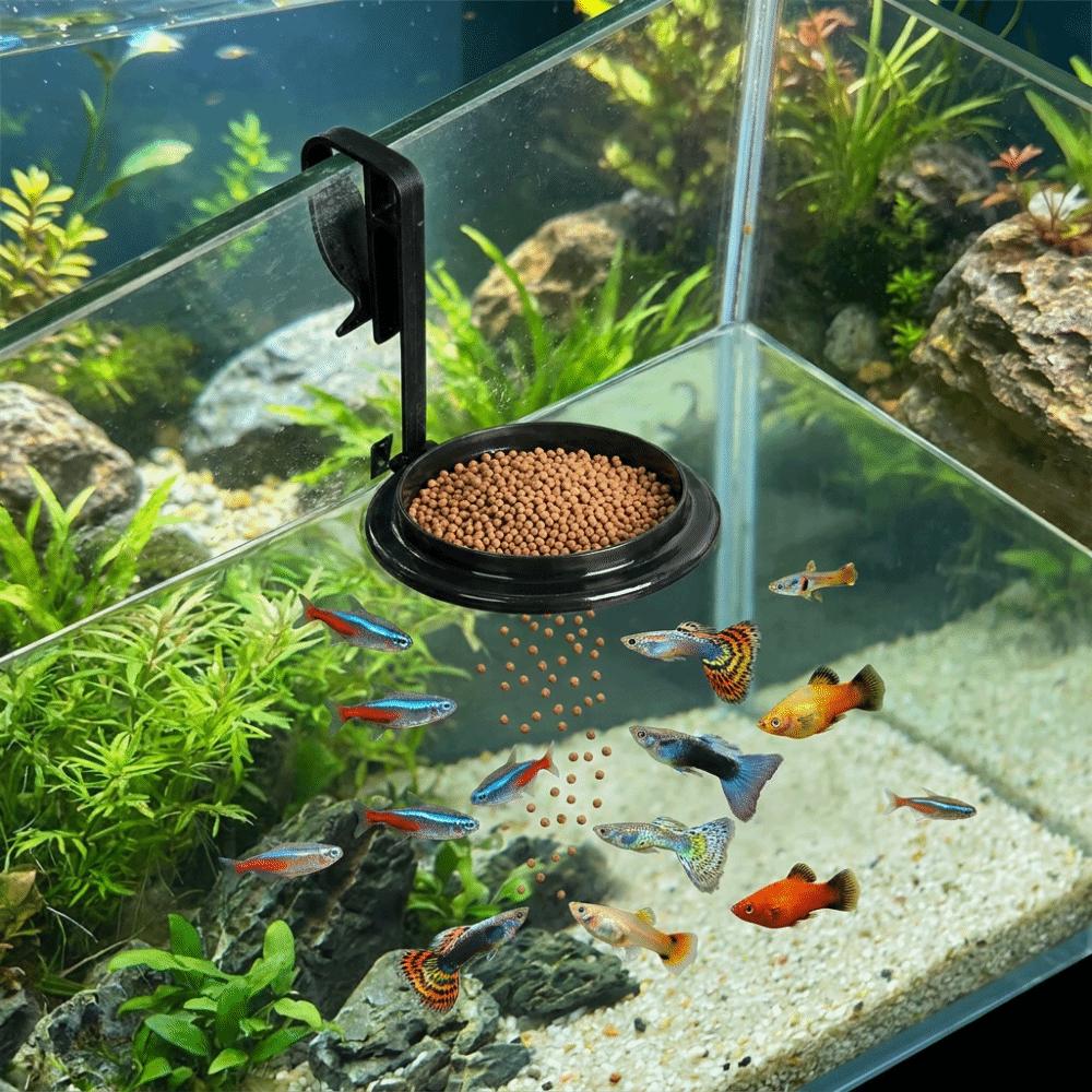 Hanging Fish Feeding Ring Anti Drifting Plastic Floating Food Tray Adjustable Fish Food Feeder Aquarium Decoration