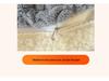 2025 Autumn/Winter Taffeta Fleece Duvet Cover & Blanket Combo for Home/Office