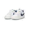 New Nike Court Borough Low 2 SE TD 'Pawprints' DQ5981-100