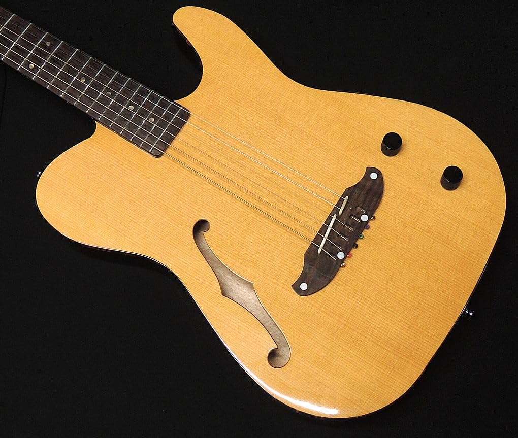 SCHECTER VNTL Gloss Finish Schecter Thin Body Acoustic Guitar F Hole Electric Acoustic Telecaster Shape Natural Passive OL-FL-P