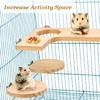 Hamster Platform For Cage Hamster Playground  Hamster Wooden Platform And Stairs