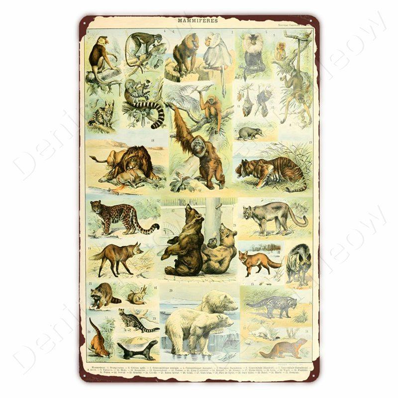 Starověcí Znamení Vintage Kovové Znamení Fosilní Nástěnné Umění Plakát Savci Ryby Znamení pro Domov Třída Dekor Hmyz Plechové Znamení