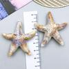 Gold-Plated Natural Shell Conch Pendant for DIY Necklace, Earrings, Wind Chime, or Hanging Ornament.