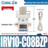 IRV Vacuum C06: Negative Pressure C08 Valve, LC10 Regulating Valve, 20 Limit Valve, BG Pressure Stabilizer