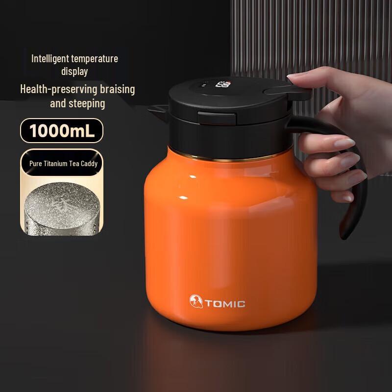 

Temeike Smart Insulated Stew Teapot
