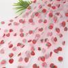 Portable Strawberry Mesh Fabric for Outdoor Clothing and Craft Projects