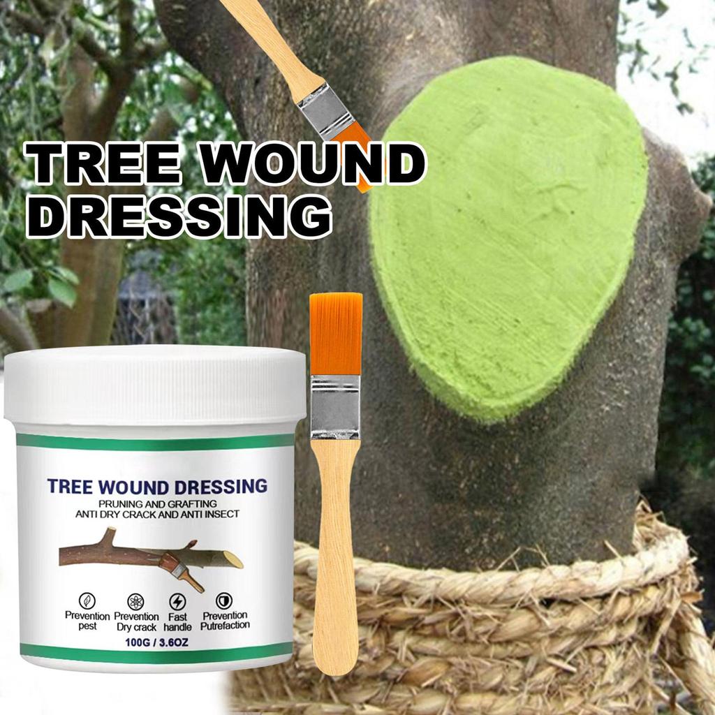 Tree Wound Pruning Sealer Grafting Plant Grafting Pruning Sealer with Brush Bonsai Cut Wound Paste Tree Repair Agent Repair Tool
