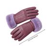 FullFinger Winter Gloves Windproof Leather WaterResistant for Driving, Biking,