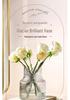 Trendy Transparent Glass Hydroponic Flower Vase for Fresh Roses - Elegant Living Room/Dining Table Decor