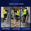 Jun Ding Ying 1.5m Aluminum Straight Ladder