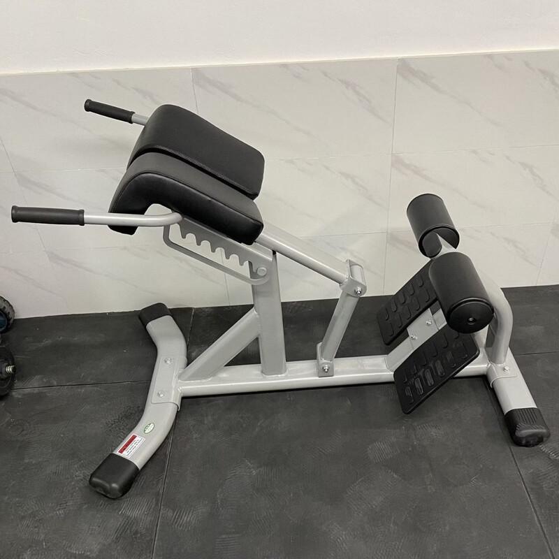 YANBO Multi-functional Roman Chair Hyperextension Bench