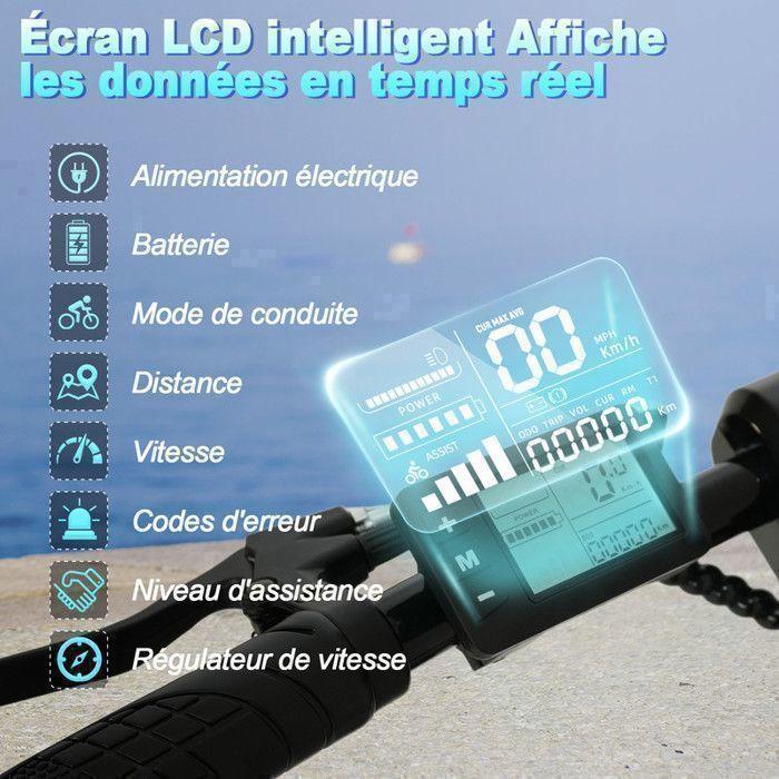 Bicicletta Elettrica Pieghevole - YEE GOO - LE003 - Ruote 14" - Motore 250W - Autonomia 30-45km - Nero