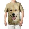 3D Printed Pet Bulldog Animal Graphic T Shirts For Men Stylish Fun American Bully Dog T-Shirt Casual Oversized Mens T Shirt Tops