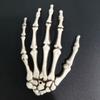 New1 Pairs Halloween Skeleton Claw Hand Bone Shelf Ghost House Chamber Bar Terror Decoration Props Trick Hanging Accessories