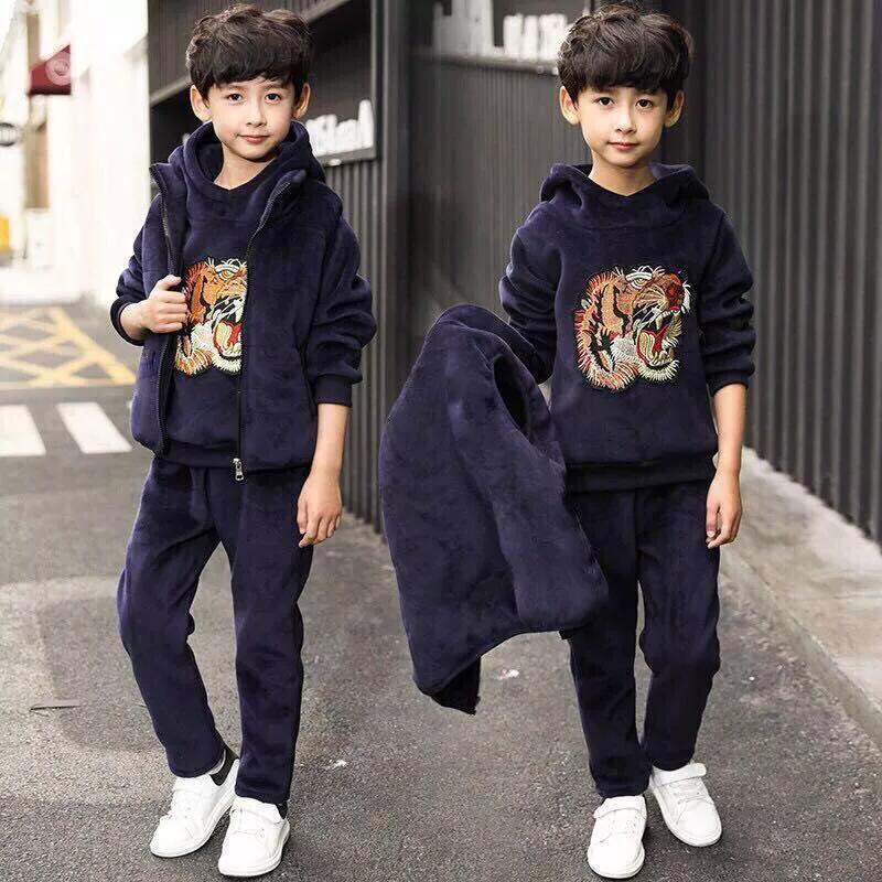 Boys' Suit with Plush and Thickened Autumn and Winter Clothing, Mid Size Children's Clothing, Boys' Hoodie Three Piece Set, Cool and Trendy