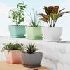 Pack of 5 6 inch Plant Flower Pots with Drainage Holes and Tray Saucers Outdoor Indoor - Ideal for Indoor Plants, Succulents, and Small Pots
