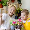 Étiquettes de plantes mignonnes Étiquettes de plantes rustiques Étiquettes de plantes en bois pour plantes en pot 20 styles Jardinage pour fleurs Pour jardiniers