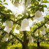 105pcs Breathable Non-woven Drawstring Fruit Protect Bags for Grape, Apple, Pear, Farm Crop Growing Protection Accessories YMY
