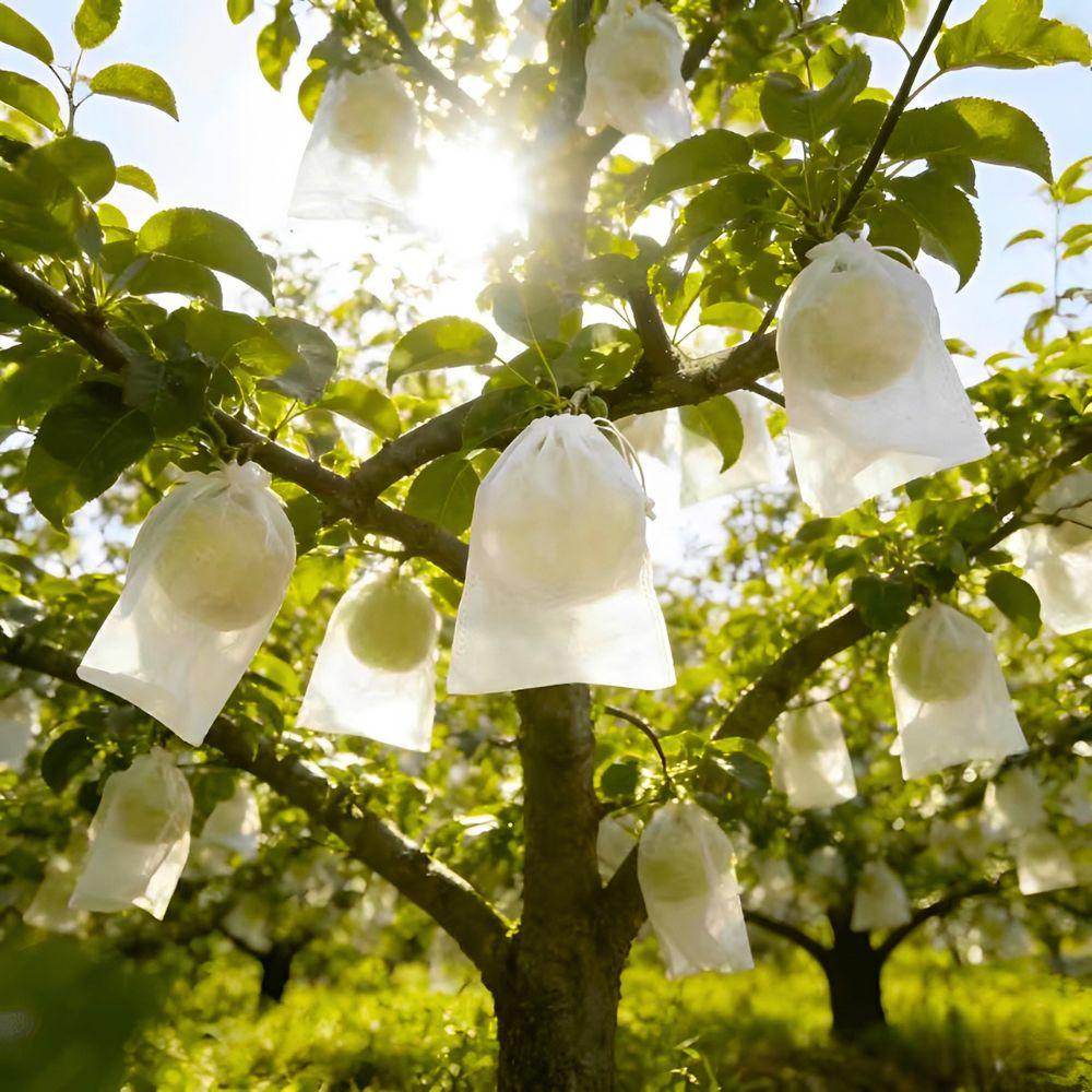 105pcs Breathable Non-woven Drawstring Fruit Protect Bags for Grape, Apple, Pear, Farm Crop Growing Protection Accessories YMY