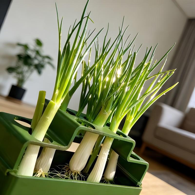 1Pcs Lettuce Sprout Planting Pot Plastic Chives Seedling Tray Coriander Ventilated Water Cultivation Box Vegetable Growing