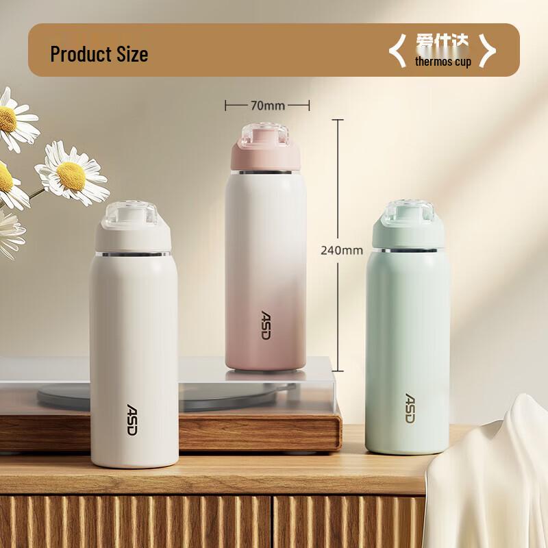 ASD 316L Stainless Steel Insulated Straw Water Bottle