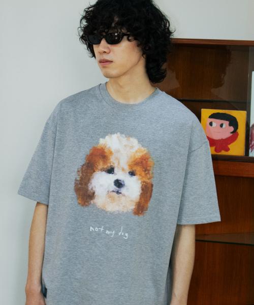 GROUNDWORK Not My Dog T-Shirt / Melange Gray