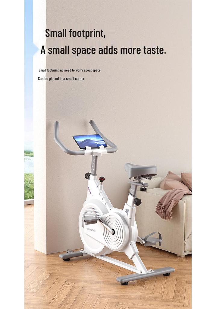 Silent Indoor Exercise Bike: Dynamic Home Fitness Equipment