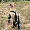 Adjustable Dog Boots Non Slip Paw Protectors Pet Practical Dog Outdoor Shoes  Four Seasons Use