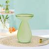 Colorful Transparent Avocado Hydroponic Vase Glass Avocado Seed Starter Vase Plant Seed Growing Kit Gardening Lovers Home Decor