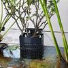 Uitschuifbare Haak Waterplantenhouder Veelzijdig Plantenkweekrek Plantenkweek