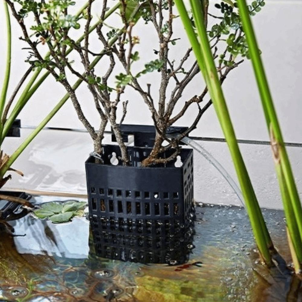Uitschuifbare Haak Waterplantenhouder Veelzijdig Plantenkweekrek Plantenkweek