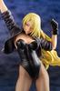 DC COMICS Bishoujo DC UNIVERSE Black Canary 2nd Edition Scale PVC Painted Complete Figure 1/7