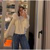 Long-sleeved Fur Collar Hooded Sweater Autumn and Winter Inner and Outer Wear Dual-purpose Ladies Solid Color Zipper Blouse Slim Knit Ladies Cardigan