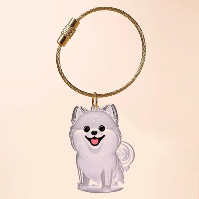 1 Piece Pet Lovers Home Display Gifts Clear Puppy Hair Memorial Keepsake Capsule Pet'S Dog Fur Container Diy Pendant Keychain