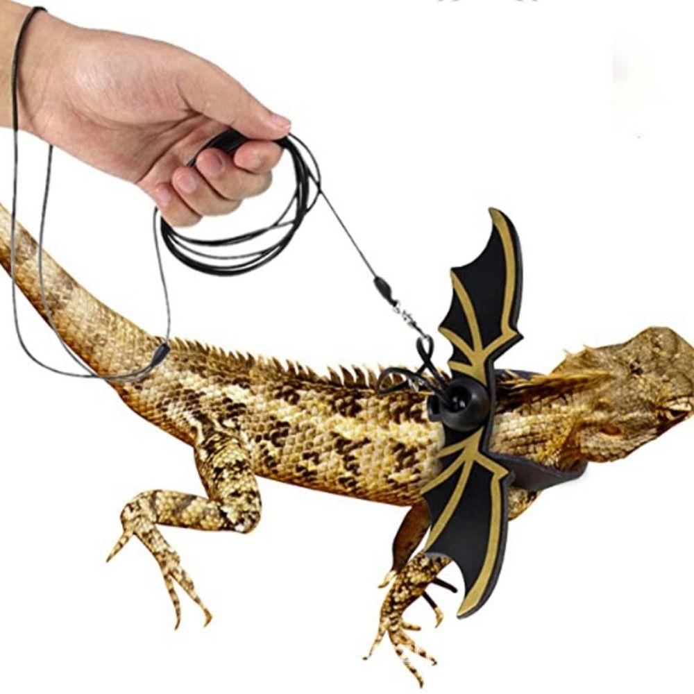 Colorful Leather With Bat Wings Gecko Chest Strap Reptile Leash Lizard Traction Rope Lizard Harness