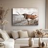 Farm Animal Highland Cow Photography Wall Art Canvas Painting Posters Prints Black White Farmhouse Wall Decor Home Decoration