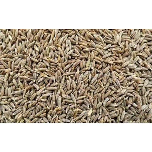 RSINC 100% Натуральная Зира (Семена кумина/ Cuminum Cyminum)- 100 г JL184609809778