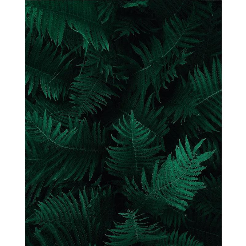 Modern Nature Canvas Painting Green Leaves Paintings Plant Pictures Tree Posters Prints for Living Room Decor Cuadros Wall Art