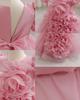 Girls' 3D Flower Princess Dress: First Birthday Puff Sleeves and Puffy Skirt