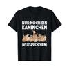Just One More Rabbit Promised Slogan T Shirt Vintage Graphic Comfortable Breathable Stylish Versatile Stretched Unisex