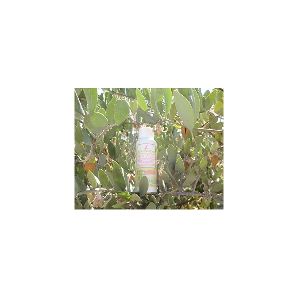 MISS MARIKO Liquid Facial Cleanser