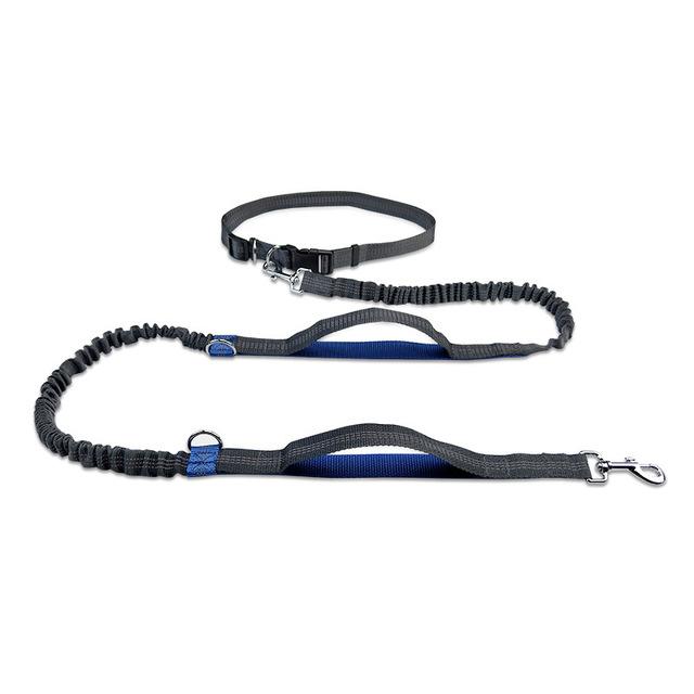 Professional 2022 New Reflective Leash Traction Rope Pet Dog Running Belt Elastic Hands Freely Jogging Pull Dog Leash Metal D-ring Leashes
