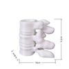 Spine Shape Pen Holder, Desktop Ornament & Stationery Organizer, Orthopedic Gift for Doctors, Teachers & Nurses