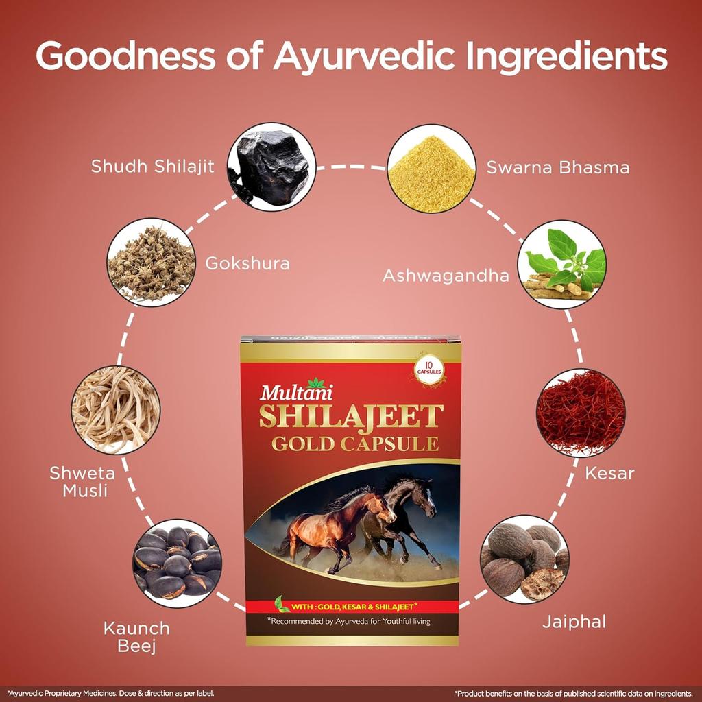 Multani Shilajeet Gold Ayurvedic Shilajit Capsules With Kesar Safed Musli For Vitality Stamina Wellness 10 Capsules 1 Pack
