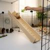 1 Piece of Accessory, and Shipped Randomly, Hamster Platform, Wooden Hamster Stairs, Golden Hamster Slide, Hamster Pet Toys, Landscaping Supplies