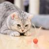 Gatos – Brinquedos para gatos